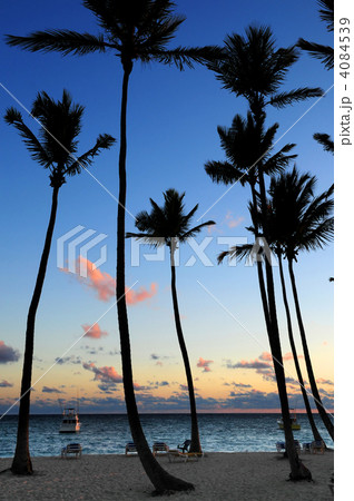 Tropical sunrise 4084539