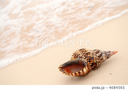 Seashell and ocean wave 4084563