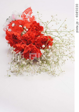 母の日イメージ・カーネーションの花束 母の日イメージ・カーネーションの花束 4085030