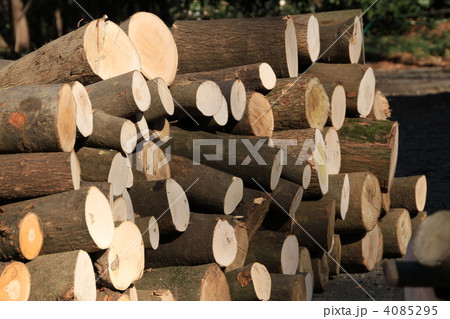 積み上げた丸太 積み上げた丸太 4085295