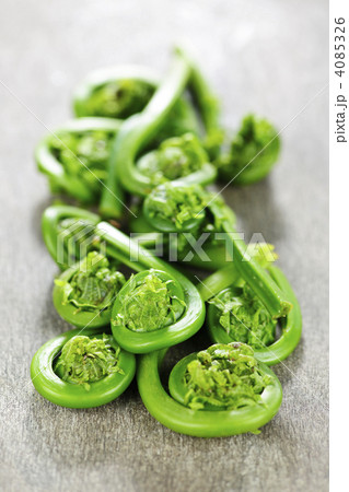 Fiddleheads Fiddleheads 4085326
