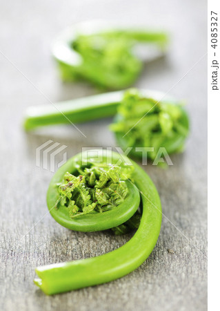 Fiddleheads 4085327