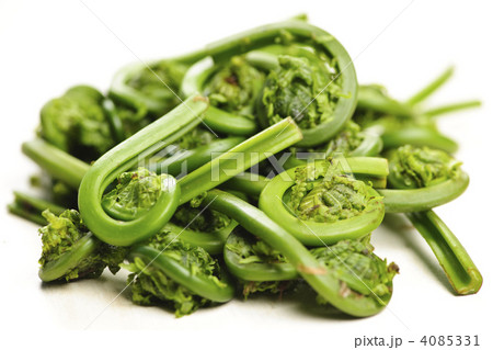Fiddleheads Fiddleheads 4085331