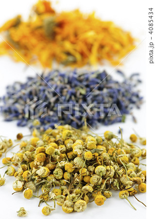 Dried medicinal herbs 4085434