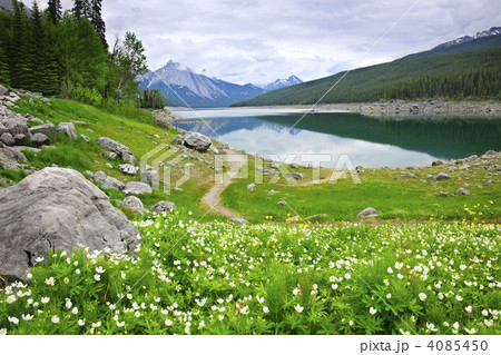 Mountain lake in Jasper National Park, Canada 4085450