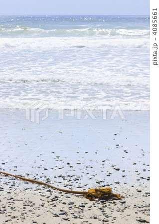 Beach detail on Pacific ocean coast of Canada Beach detail on Pacific ocean coast of Canada 4085661