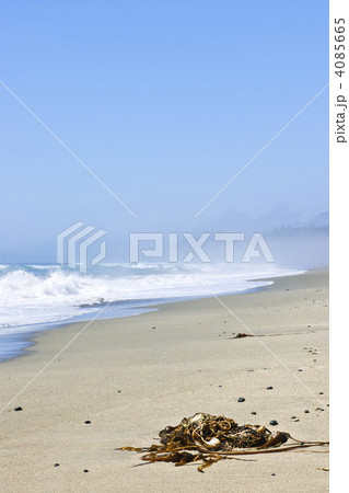 Coast of Pacific ocean in Canada 4085665