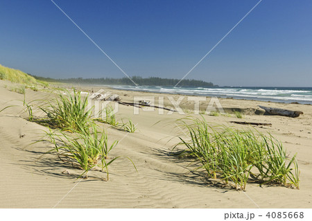 Ocean shore in Pacific Rim National park, Canada 4085668