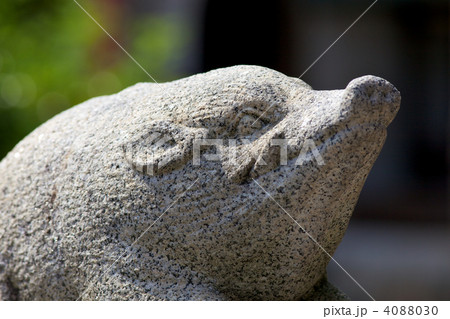 京都摩利支天堂の狛イノシシ 京都摩利支天堂の狛イノシシ 4088030