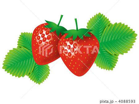 イチゴのイラスト 4088593