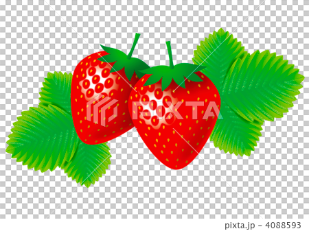 イチゴのイラスト 4088593