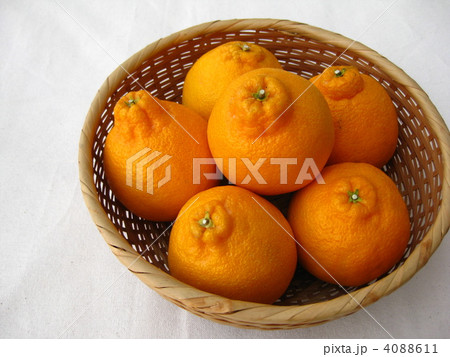 不知火　でこぽん 4088611