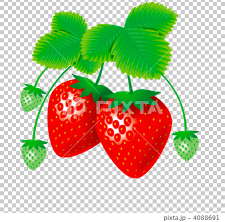 Strawberry  4088691