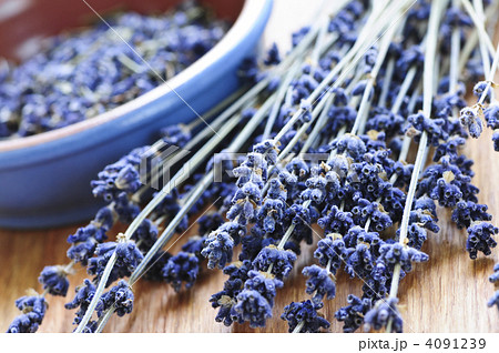 Dried lavender Dried lavender 4091239