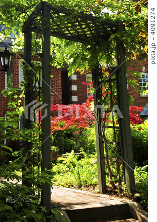 Front yard of a house 4091274