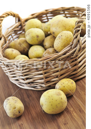 Row potatoes 4091566