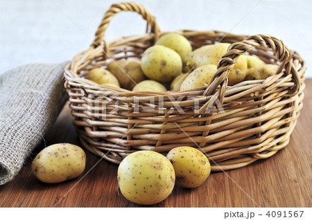 Row potatoes Row potatoes 4091567