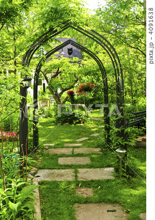 Lush green garden 4091638
