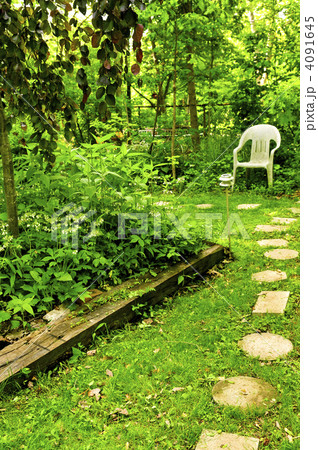 Green garden 4091645