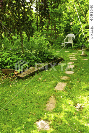 Green garden 4091646