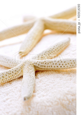 Starfish and towels 4091690