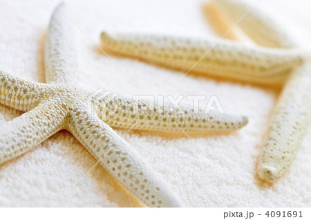 Starfish and towels 4091691
