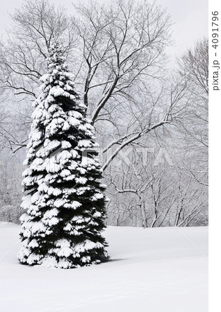 Winter park landscape 4091796