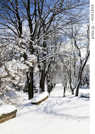 Winter park 4091849