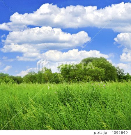 Grass and trees 4092649