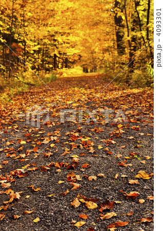 Autumn path 4093301