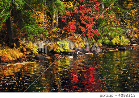 Fall forest and lake shore 4093315