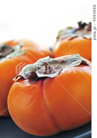 Persimmons 4093668