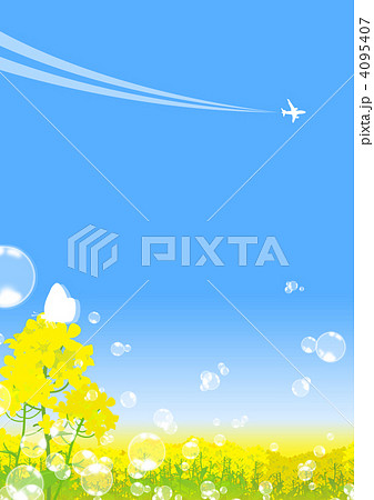 菜の花畑 4095407