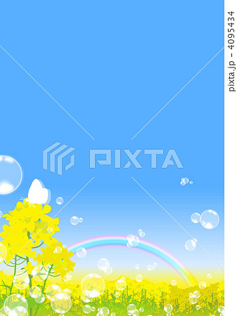 菜の花畑 4095434