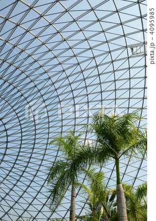 椰子とドーム 4095985