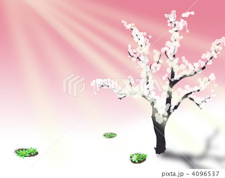 雪解け　芽生え　ふきのとう 4096537