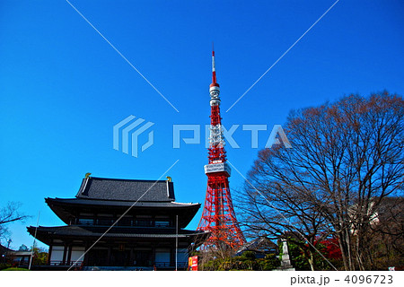 増上寺の本堂と東京タワー（増上寺／東京都港区芝公園） 4096723