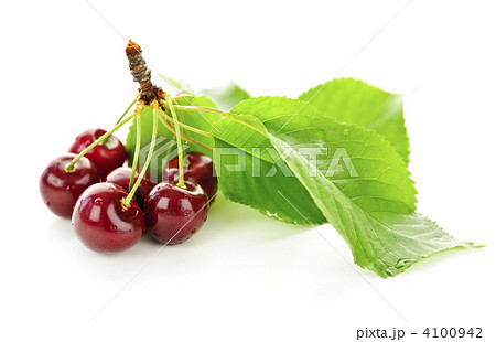 Fresh cherries 4100942