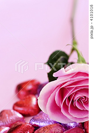Valentine rose and candy 4101016
