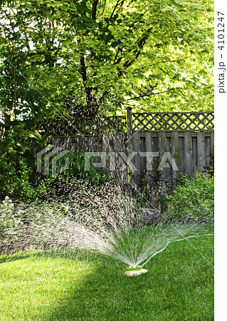 Lawn sprinkler watering grass Lawn sprinkler watering grass 4101247