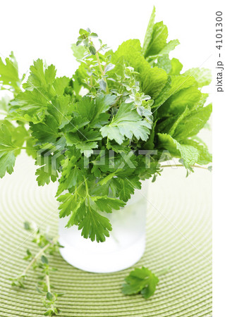 Fresh herbs in a glass Fresh herbs in a glass 4101300