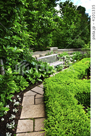 Lush green garden 4101335