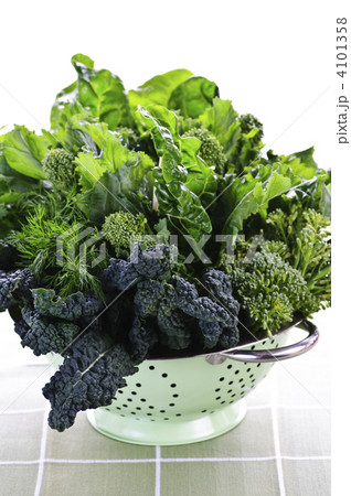 Dark green leafy vegetables in colander 4101358