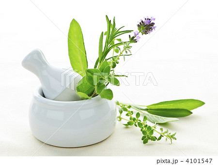 Healing herbs in mortar and pestle 4101547