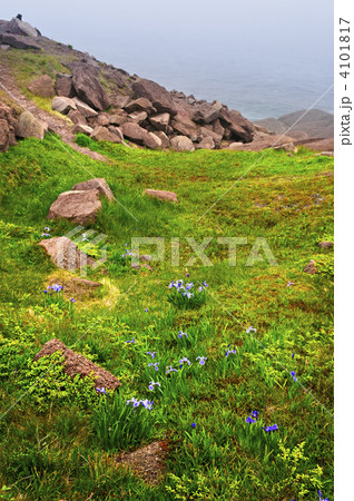 Atlantic coast in Newfoundland 4101817
