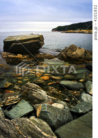 Atlantic coast in Newfoundland 4101832