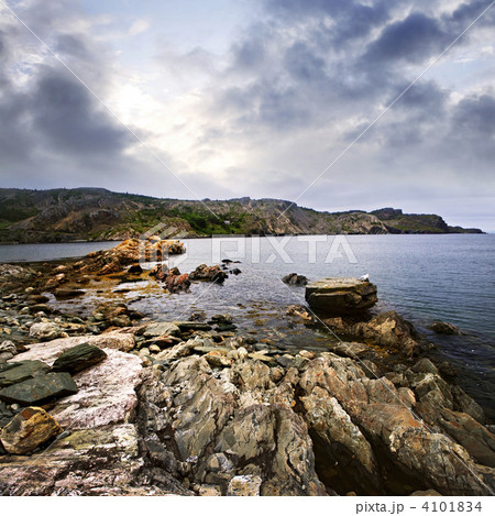 Atlantic coast in Newfoundland 4101834