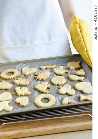 Freshly baked cookies 4102537