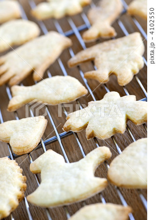 Cooling freshly baked cookies 4102550