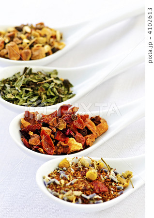 Assorted herbal wellness dry tea in spoons 4102613